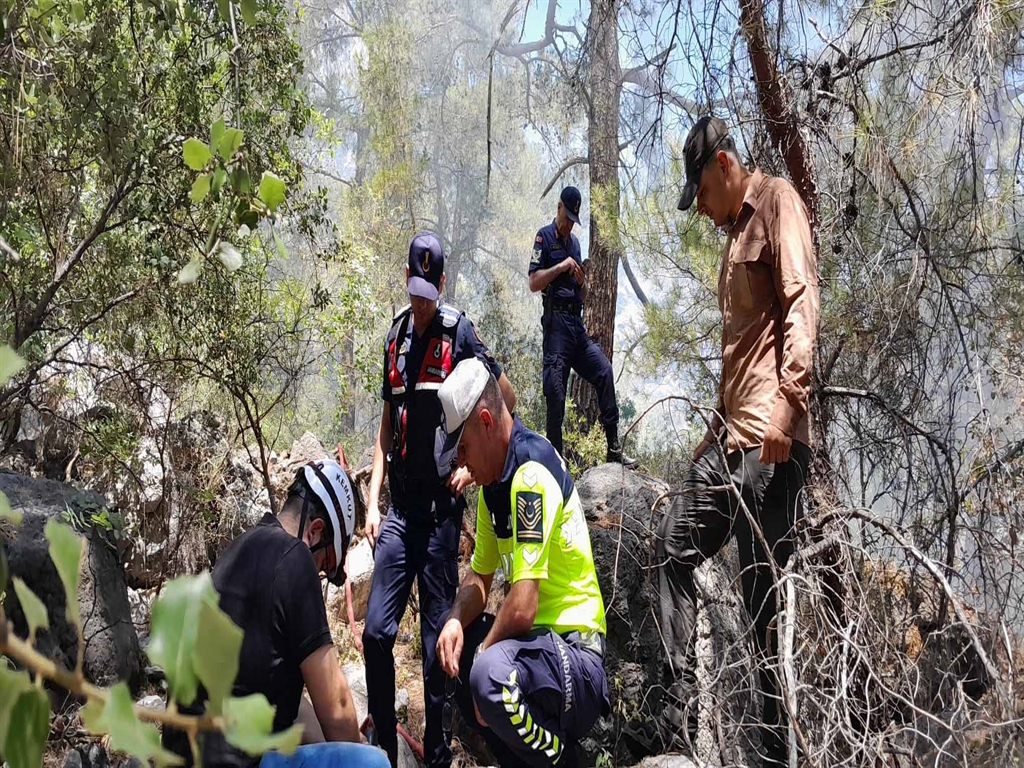 Kemermilliparklaryanginikontrolaltinaalindi