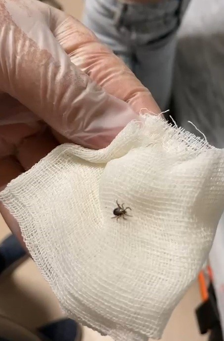 Kenepanigi Hastanedebitti (2)