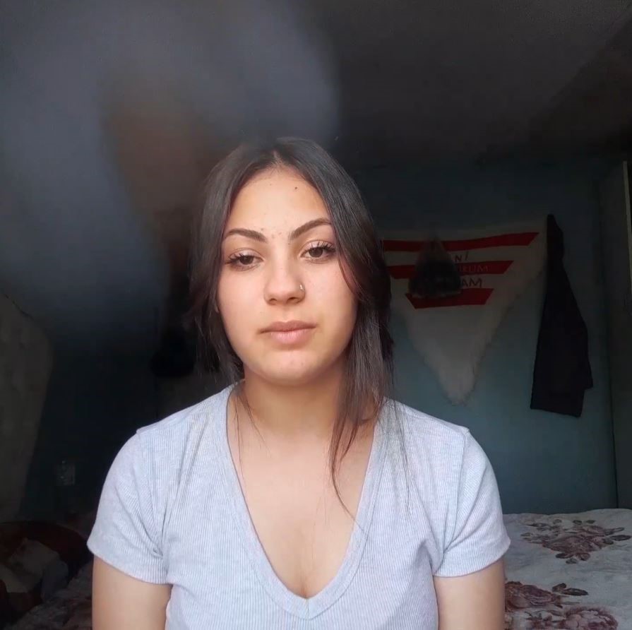 Korelilerdenparaaldiiddialarinayanit