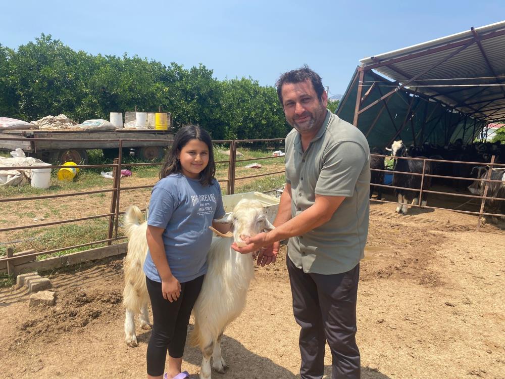 Kurbanlikkecimaskotoldu