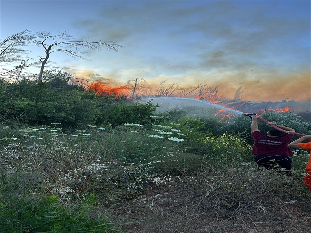 Manavgatormanyangını