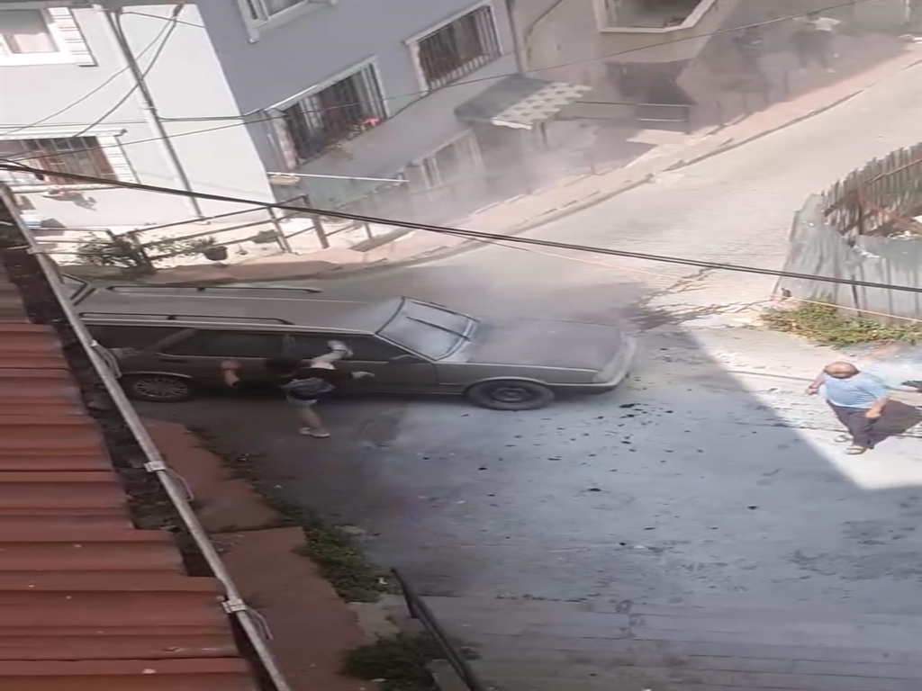 Yananaracinasinirleniptekme