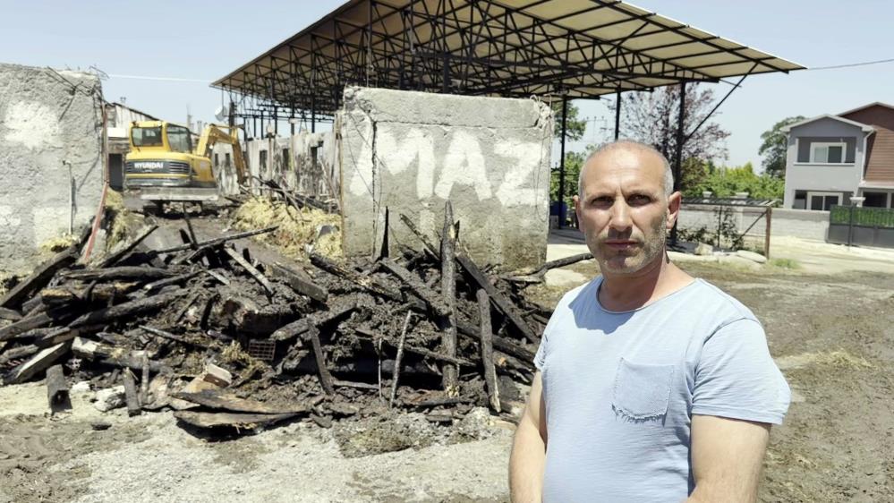 Yanginonyedihayvantelefoldu