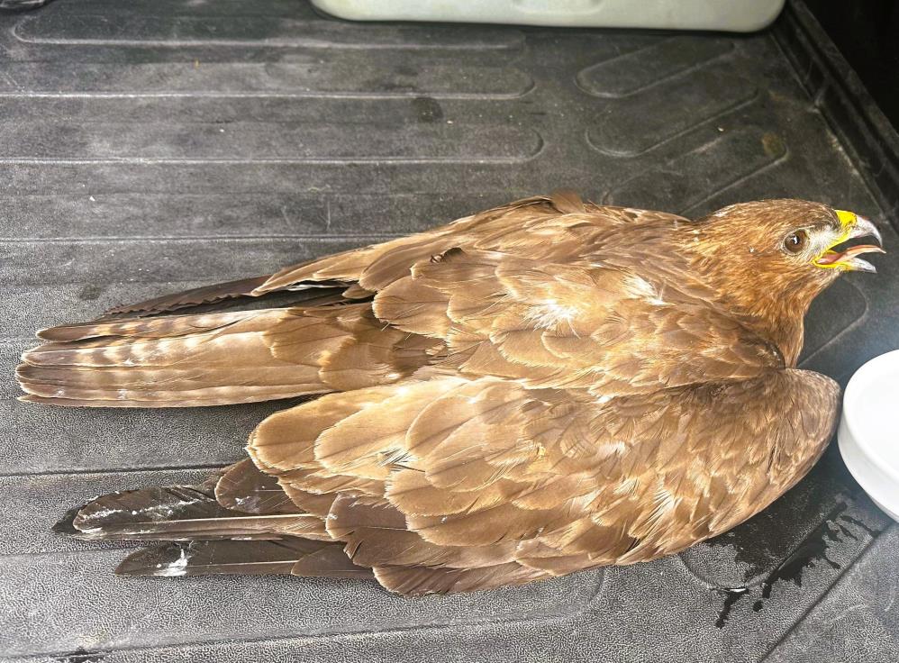 Yaralibuldugukaratalaguvenlikgorevlsinbdensefkat