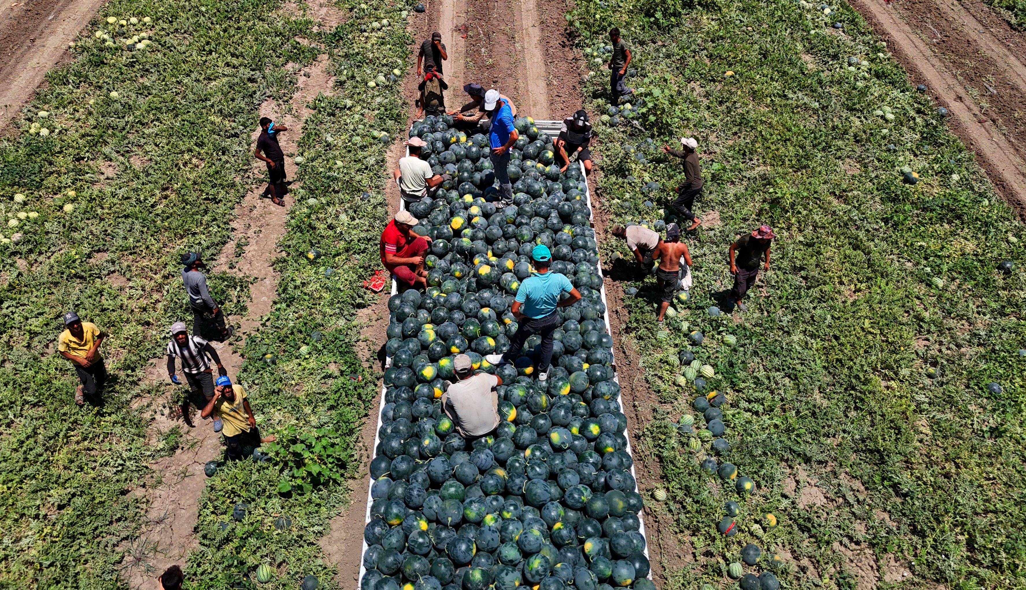 Adanadakarpuzfiyatlarıgeriledi