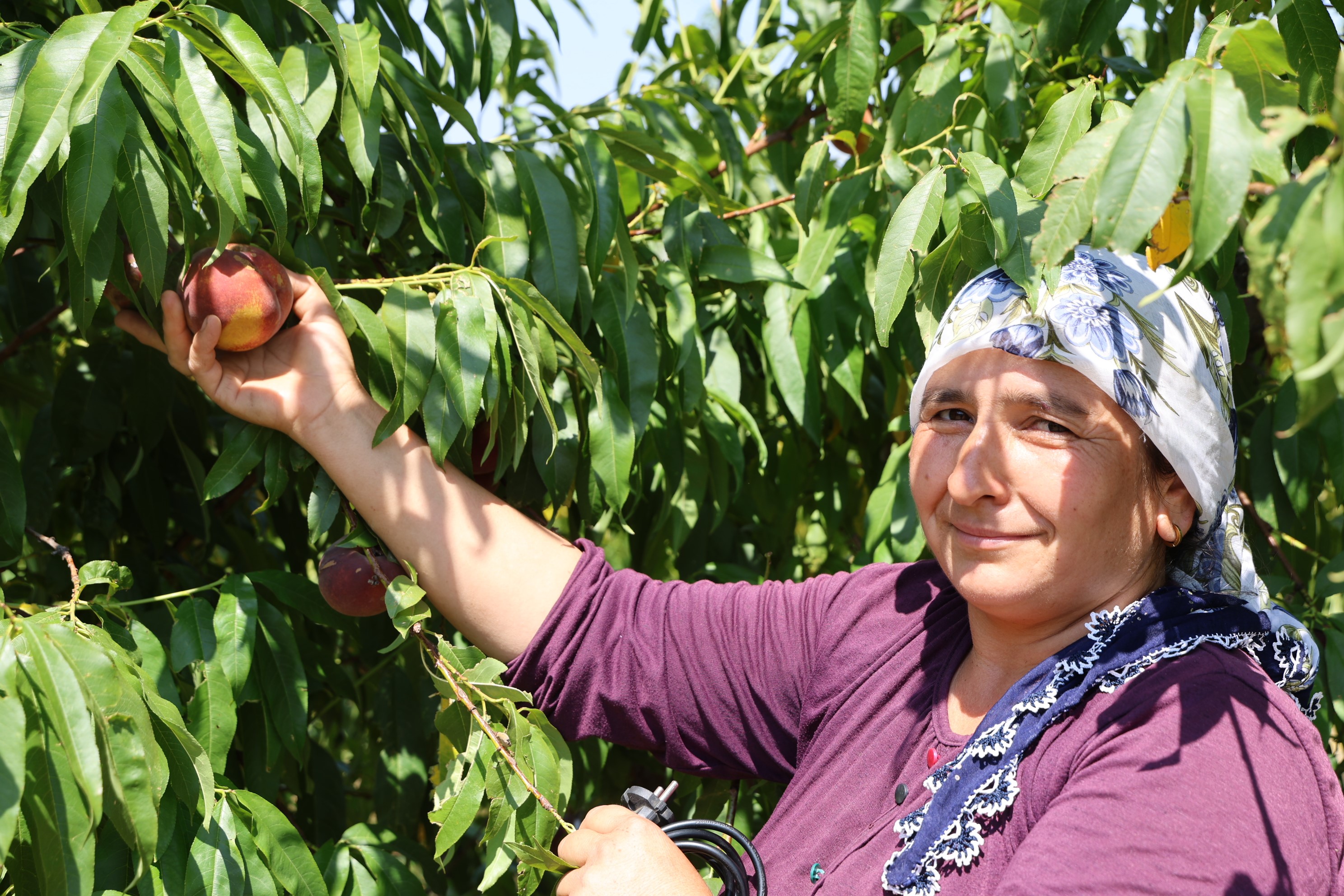 Adanadaseftalihasadibasladi1