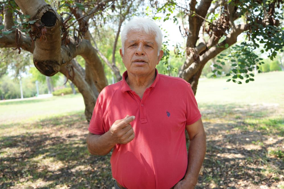 Akdenizingelsigisondurumcoplukgibi