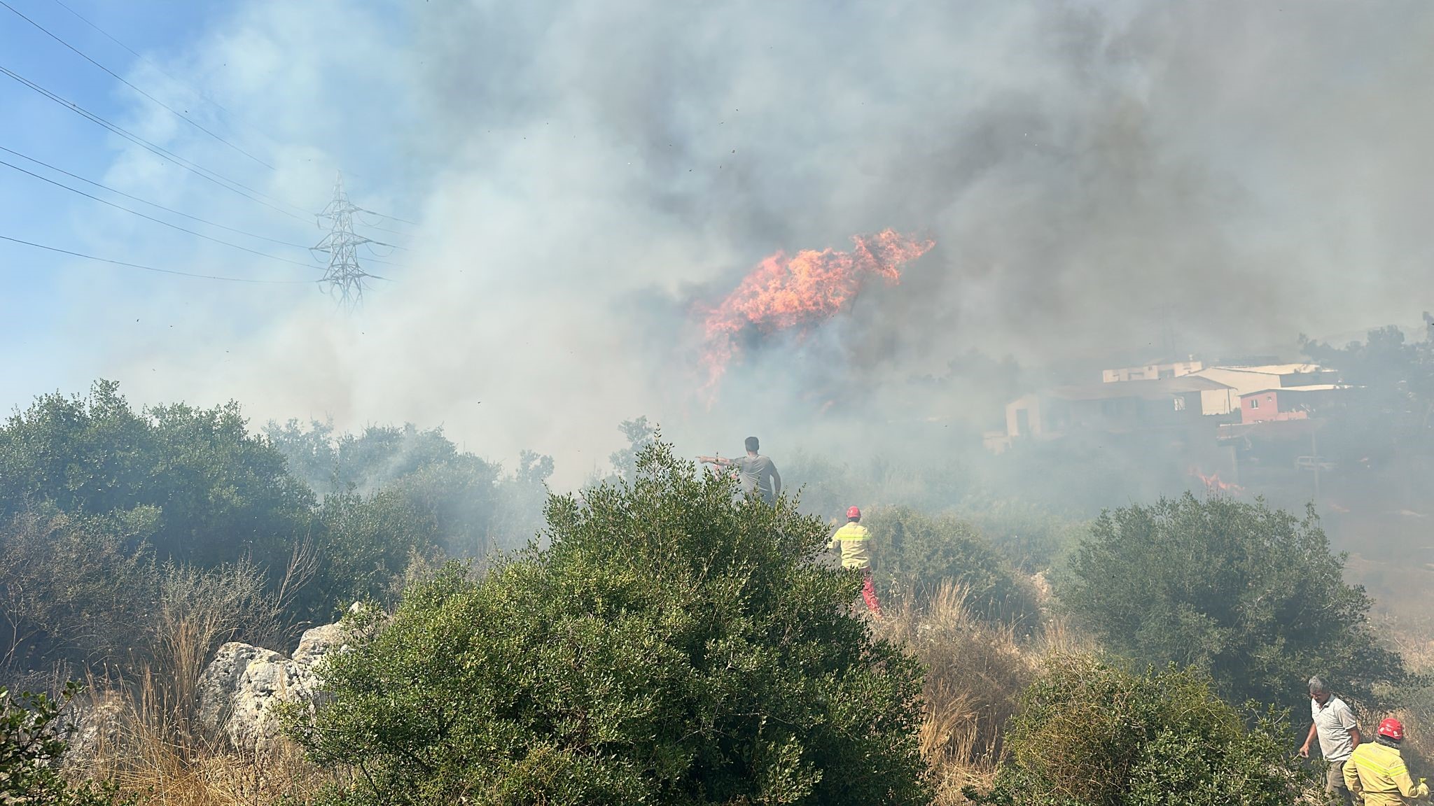 Aksudaormanyangincikti (2)