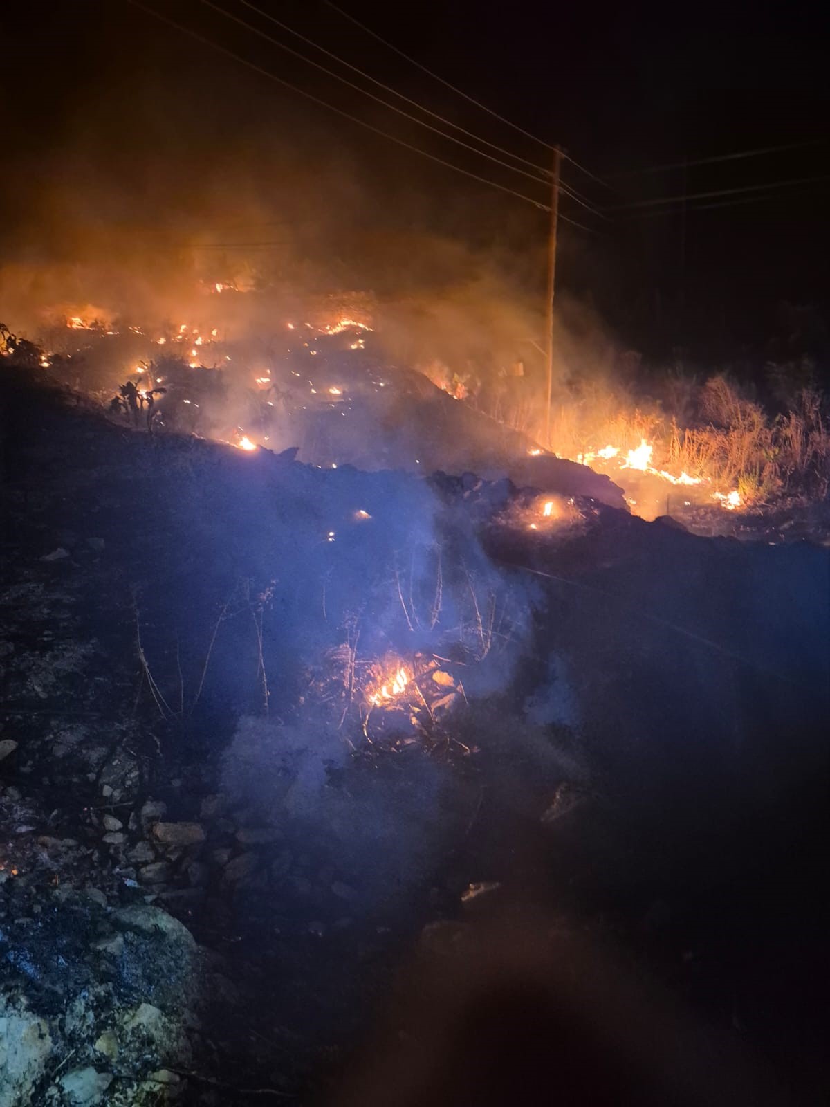 Antalyabuyuksehirbelediyesiitfaiyeekipleriheranhazir