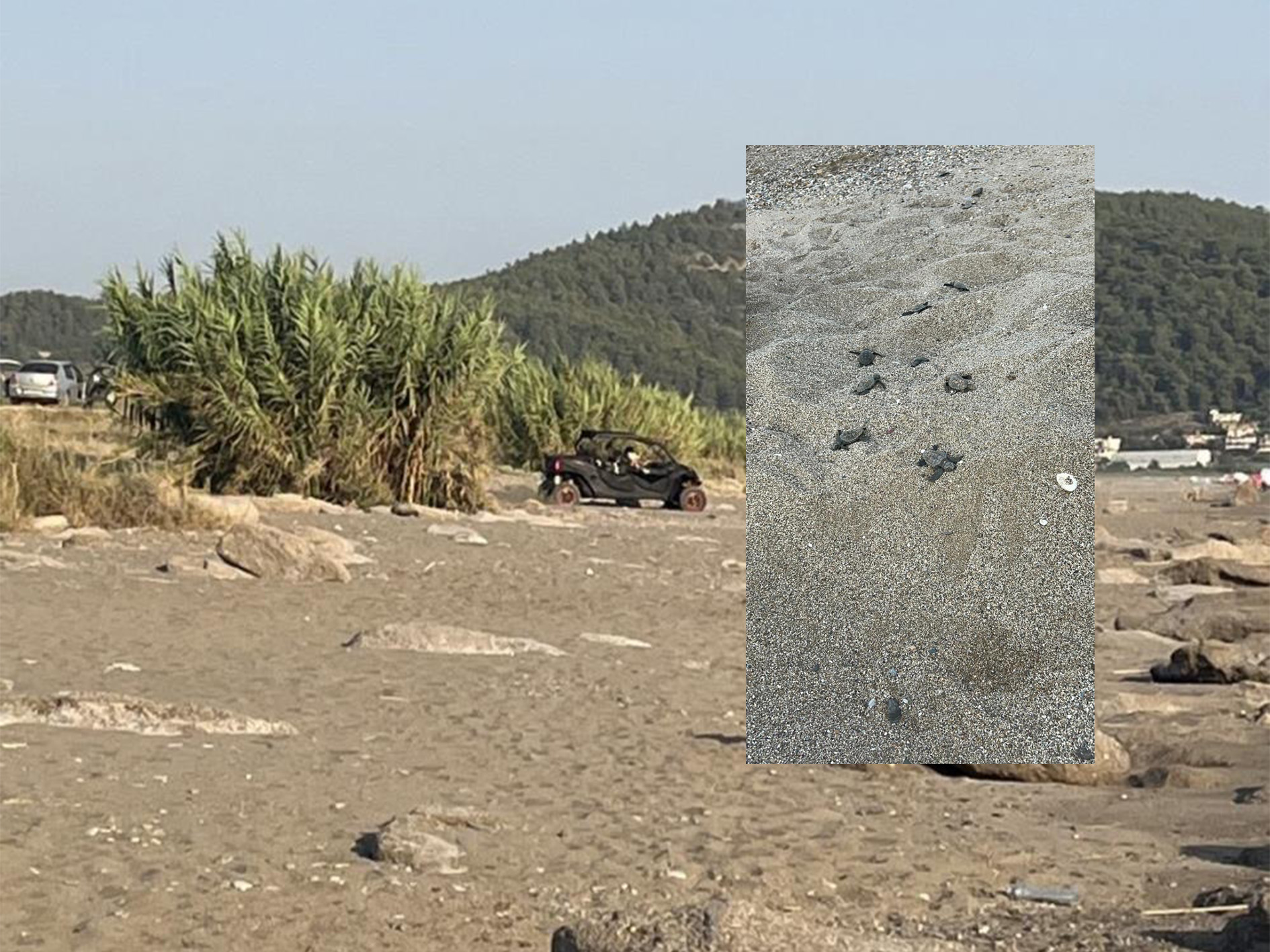 Antalyadabuyukriskcarettacarettayuvalarindatahribat