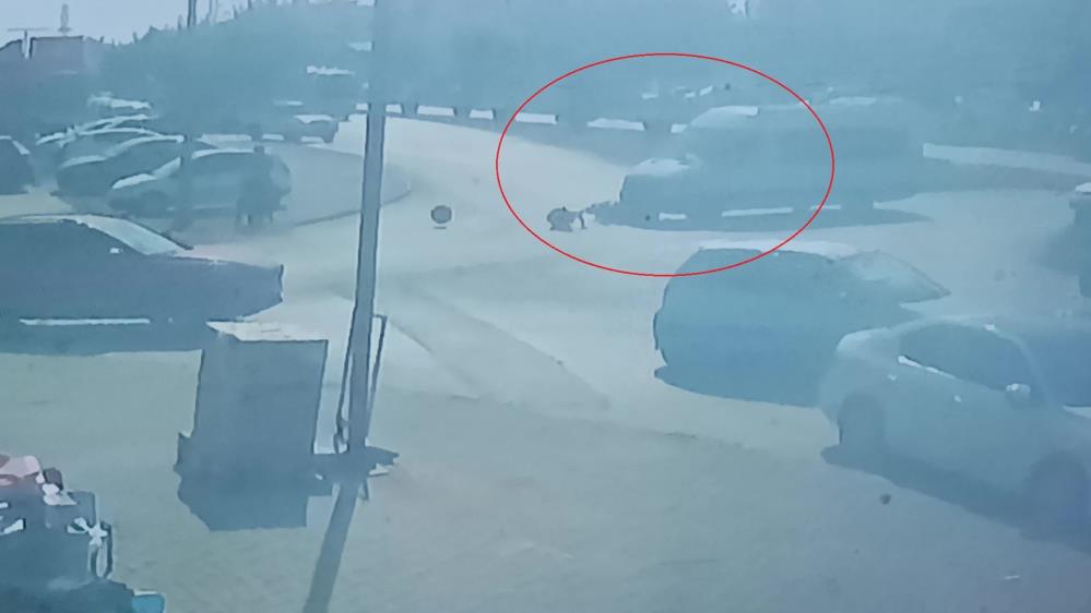 Araciminibusunaltindakaldi