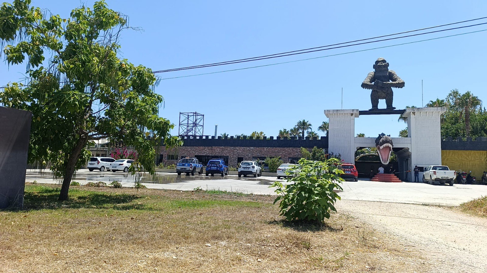 Aslaninkactigihayvanatbahcesimuhurlendi1