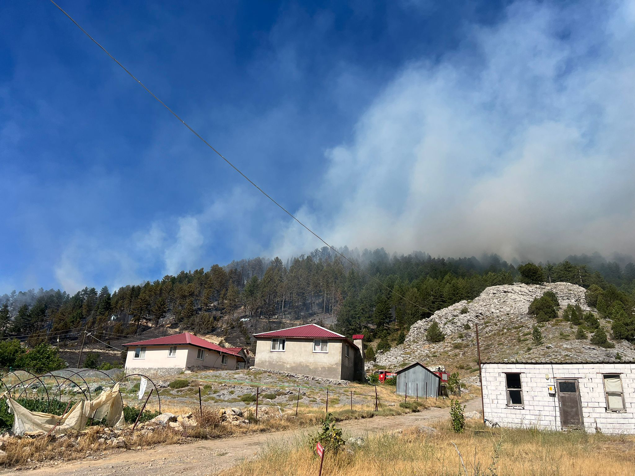 Biryanginhabeeridahaalanyadayayladayangincikti