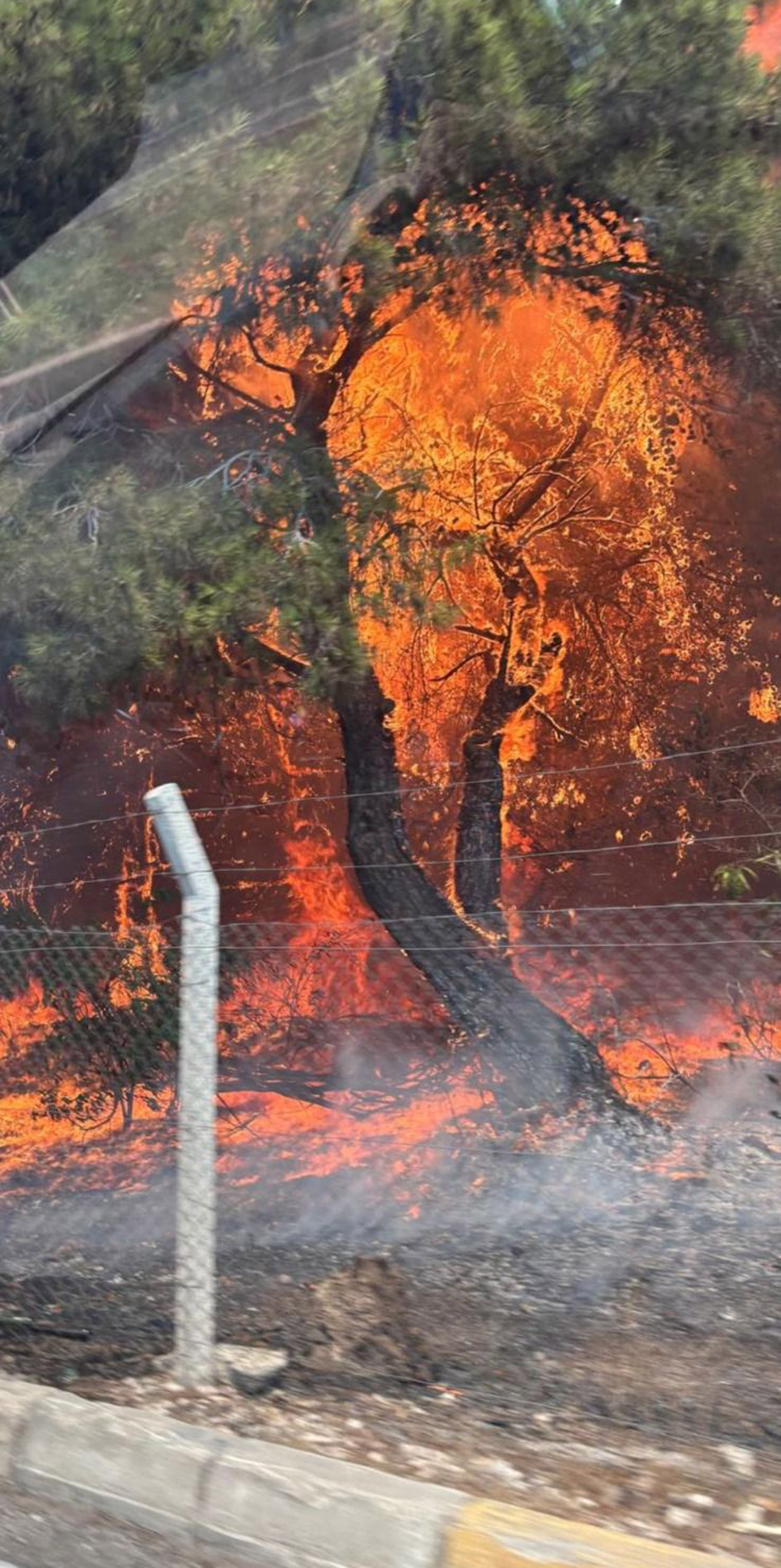 Bulentersoydayangindannasibinialdi