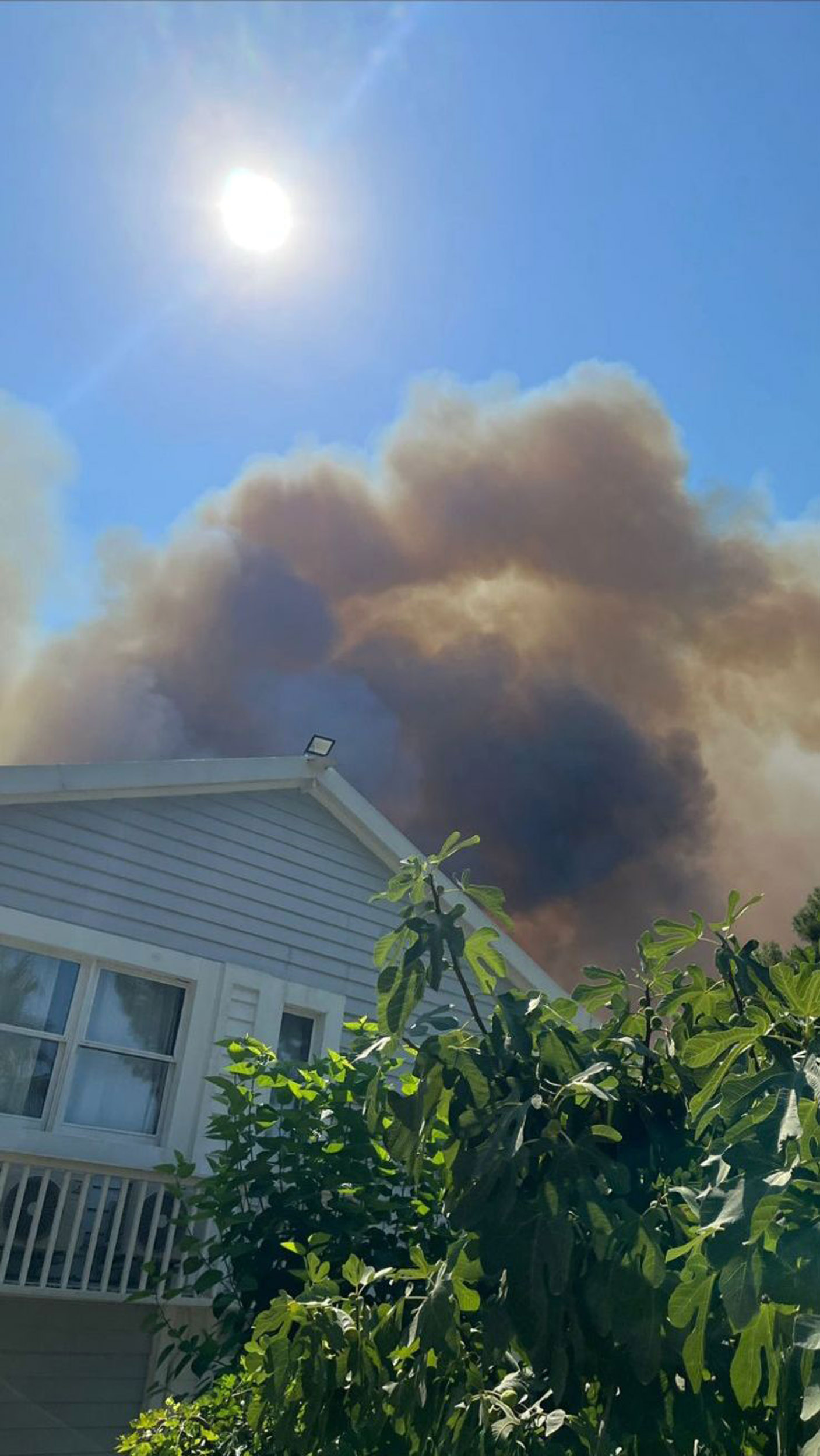 Bulentsersoyunvillasinaalevvlersicradi