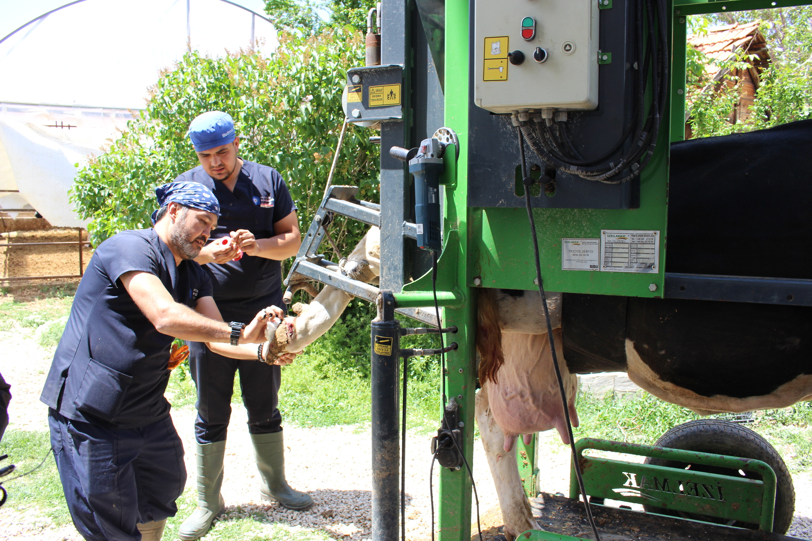 Buyuksehirbelediyesindenhayvanciligakatki