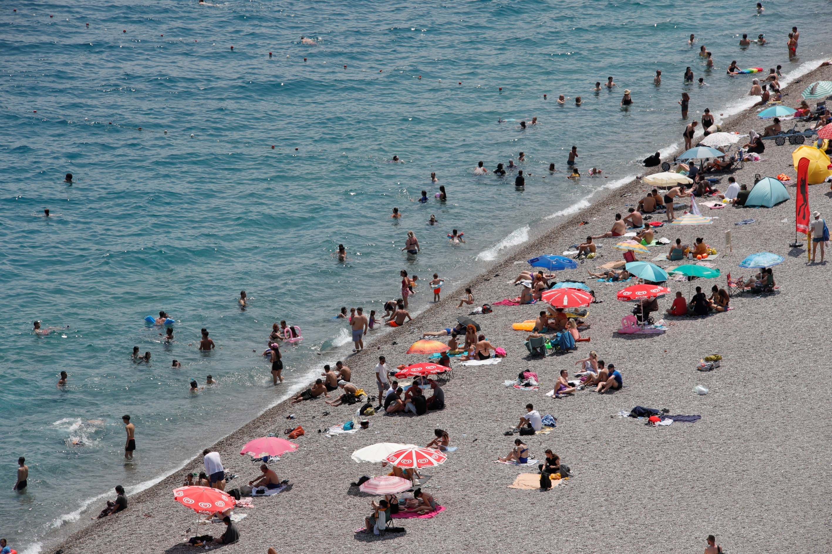 Carettacarettalarinisirmanedenibellioldu2