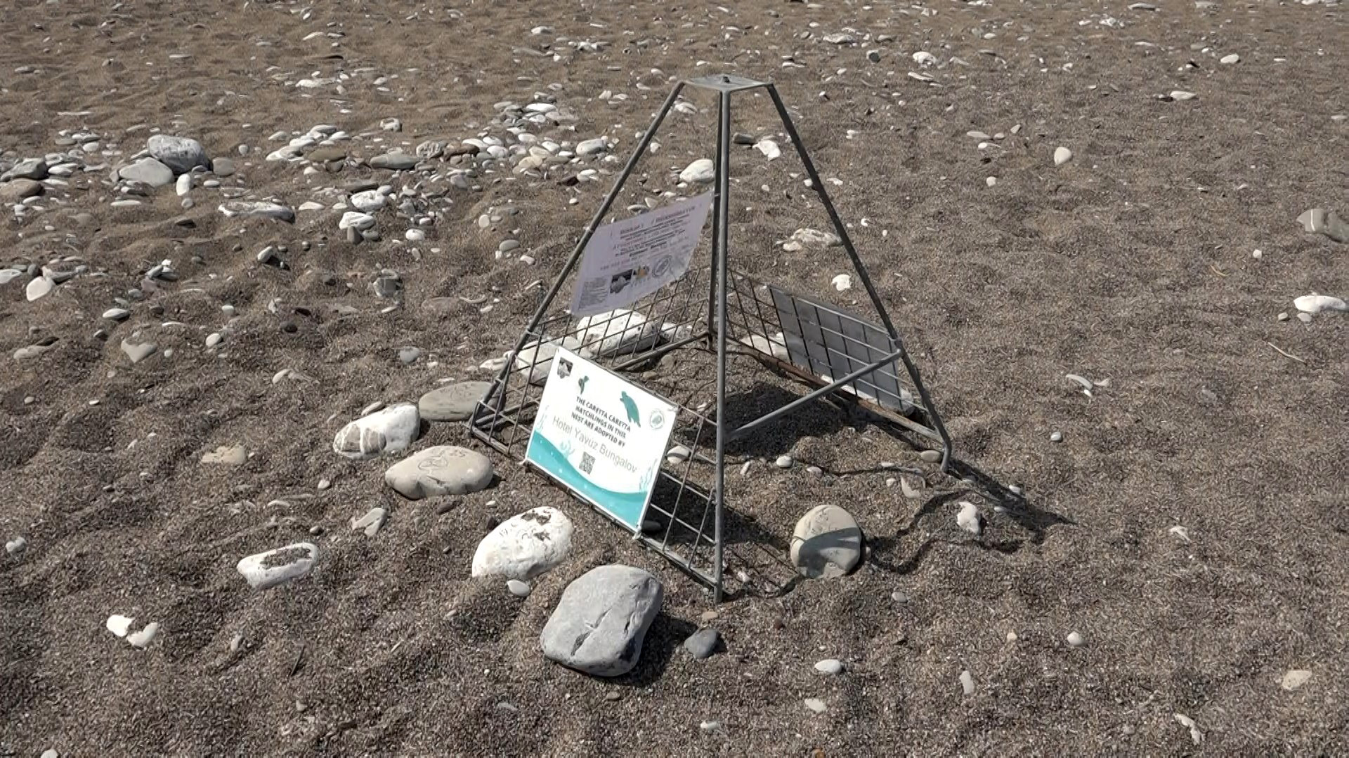 Carettacarettalarraisletmelersahipcikti