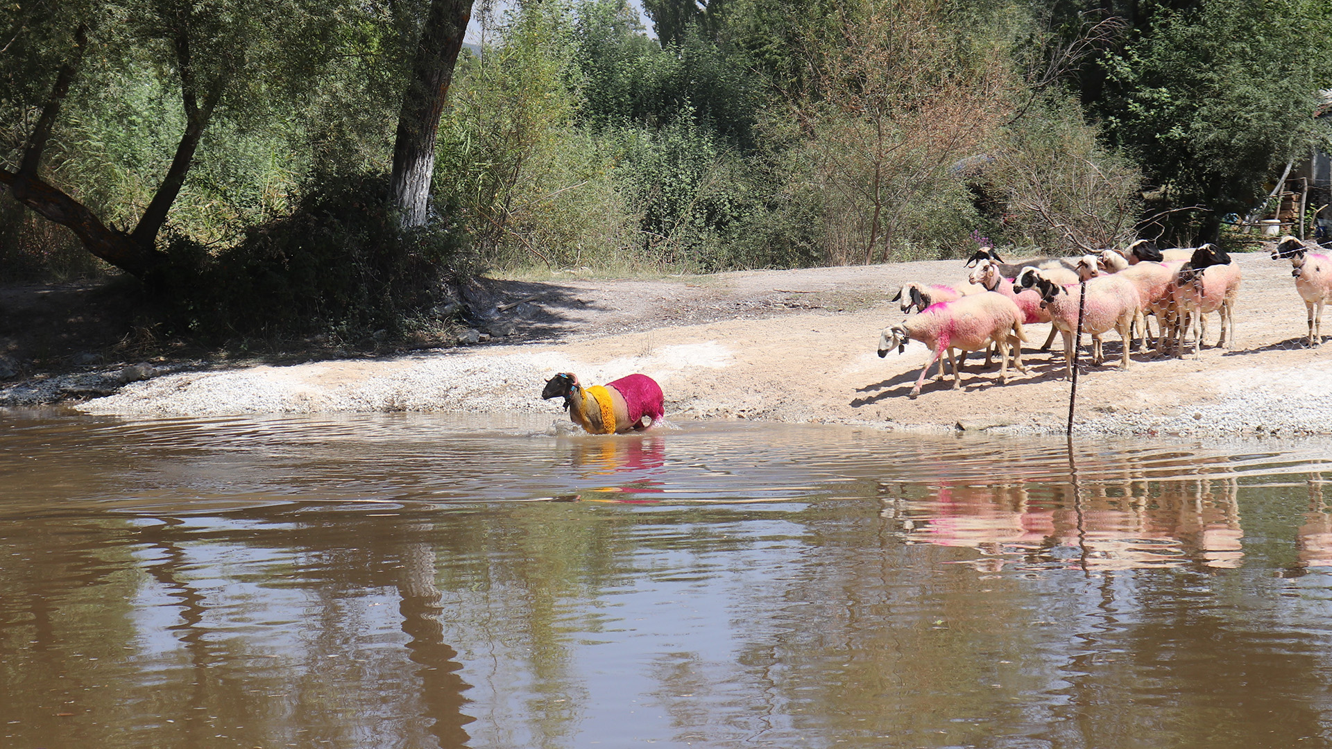 Denizlide852Yillikgelenekgerceklestirilemedi
