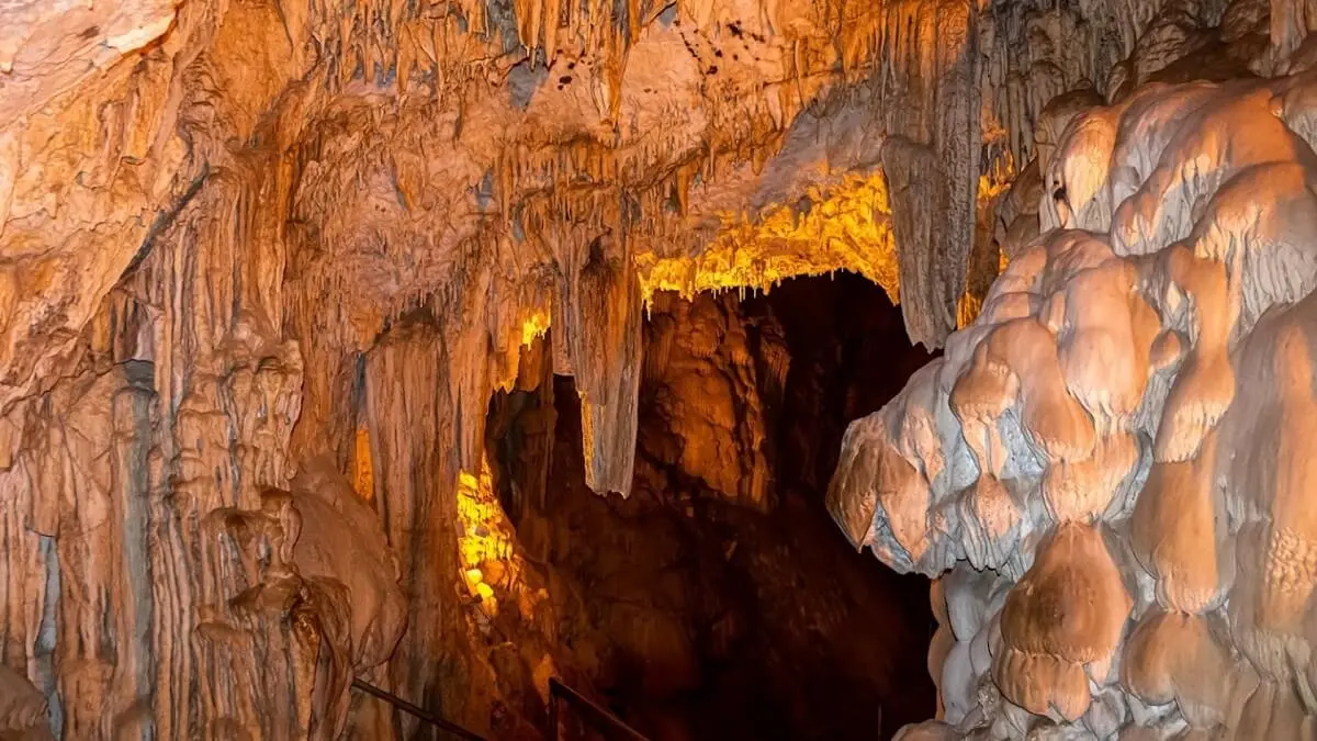 Dimmagarasıalanya-1