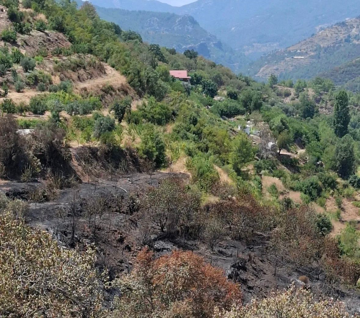 Gazipasadahasartespitcalismasiyapildi