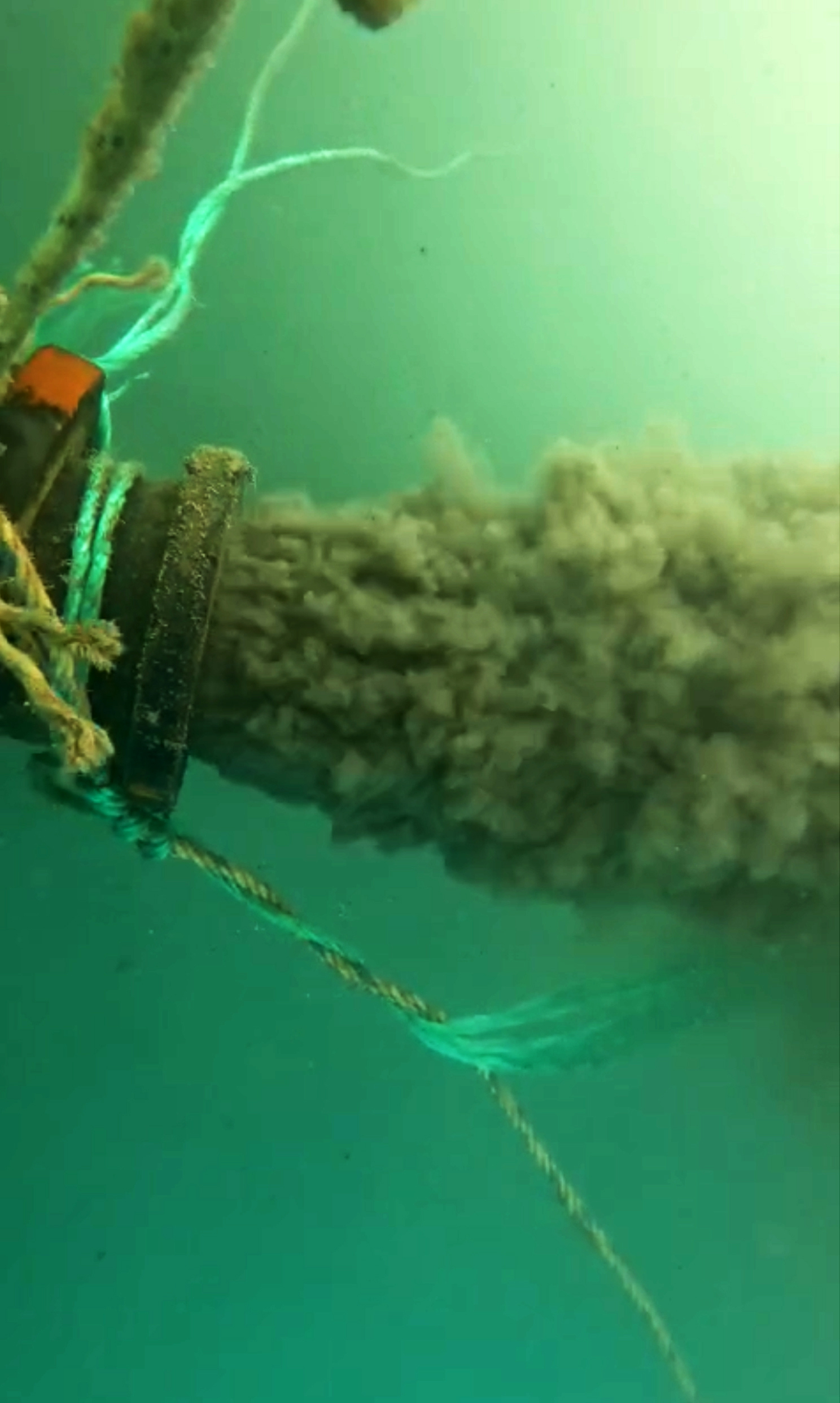 Gazipasaselinussahilindesukirliligisuphesi1