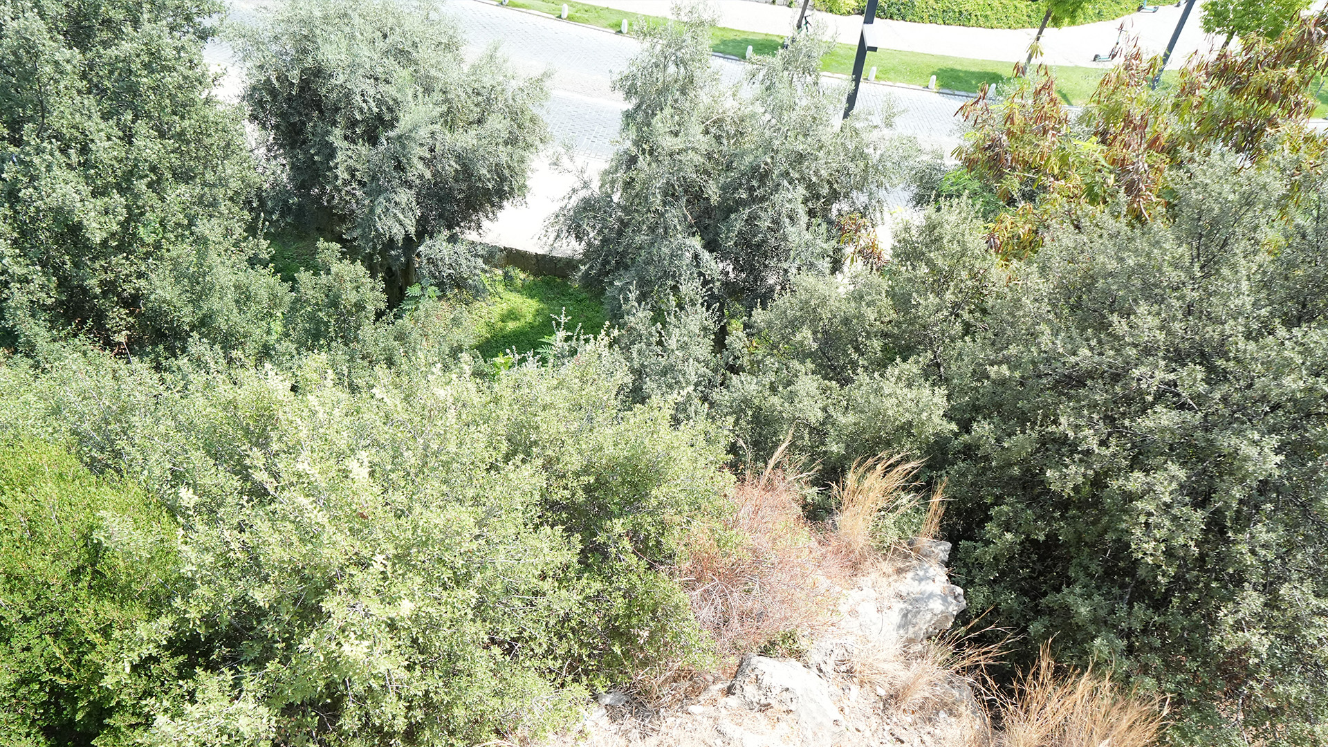 Gazipasayaneyitasinanyasliadamevindeolubulundu1