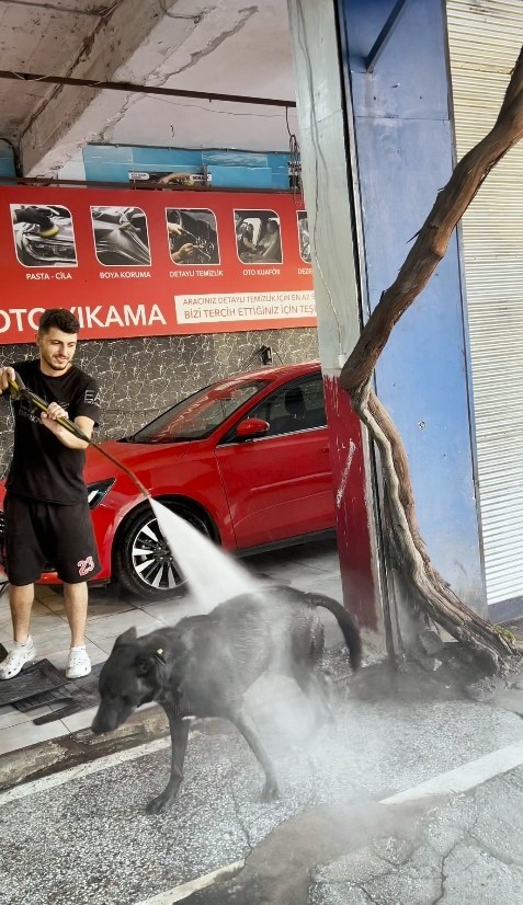 Ikisaattebirserinliyor