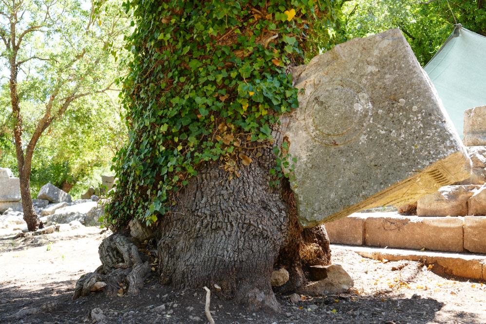 Ilkkezgoruluyoragaclahitihavayakaldridi