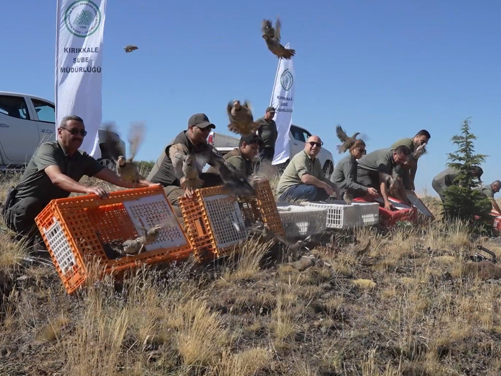 Kekliklermucadeleyebasladı