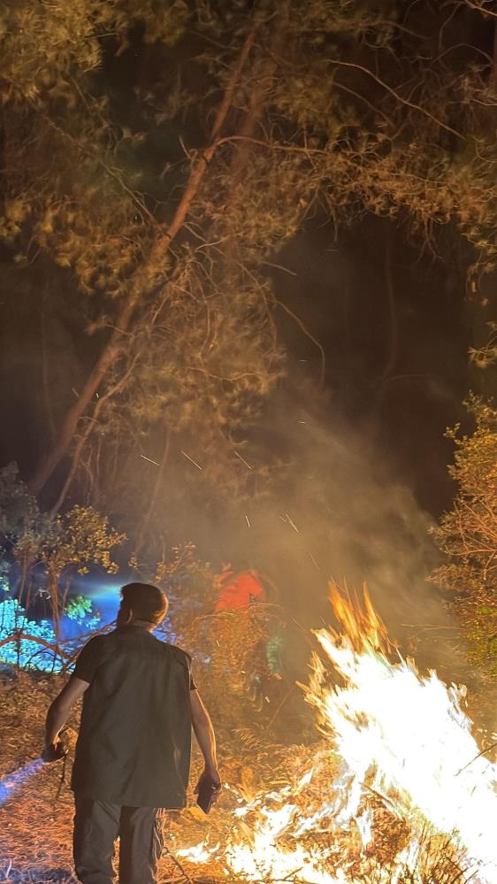 Kemerdeyanginahizlimudahale