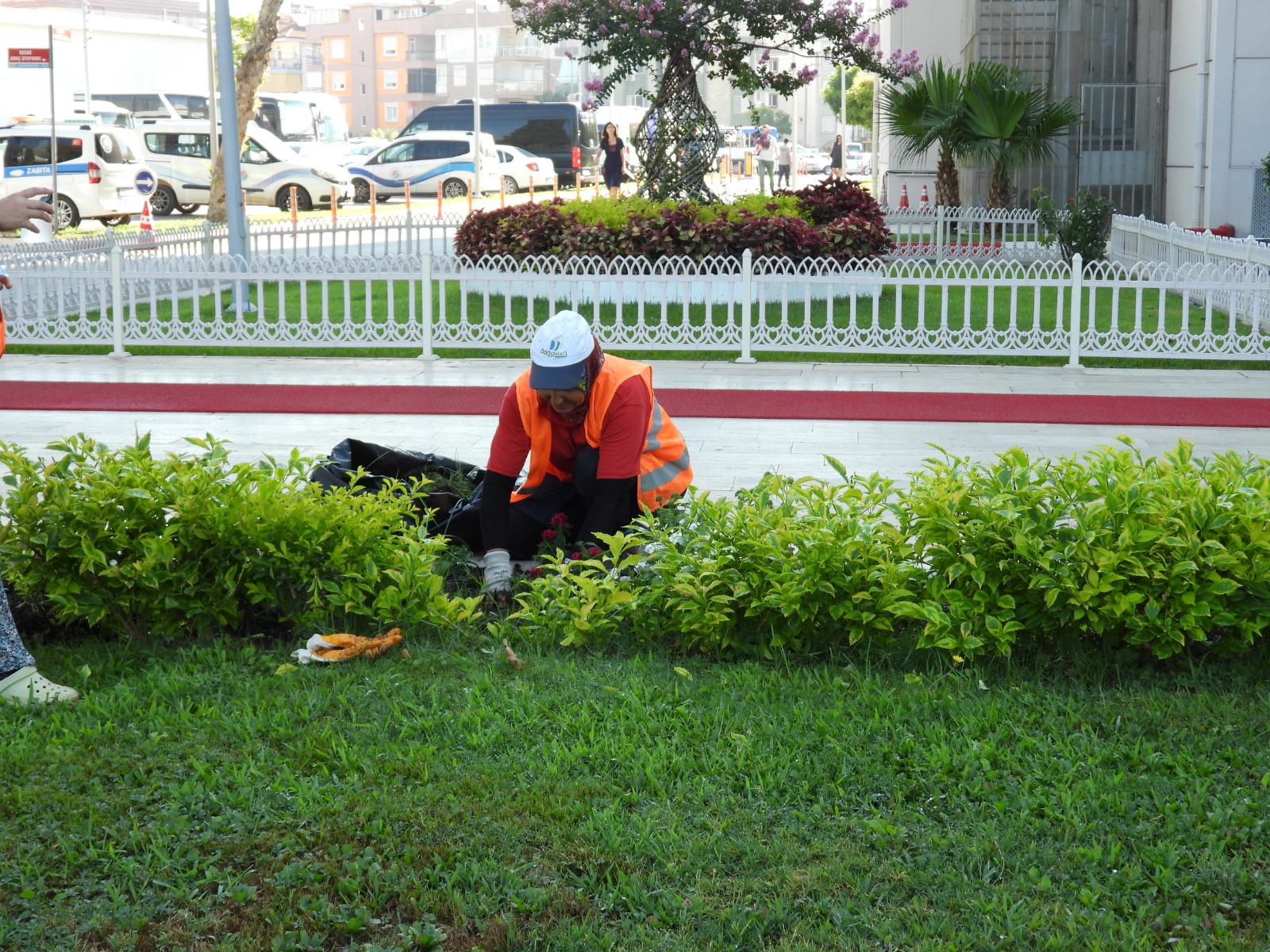 Kepezdenornekdavranis