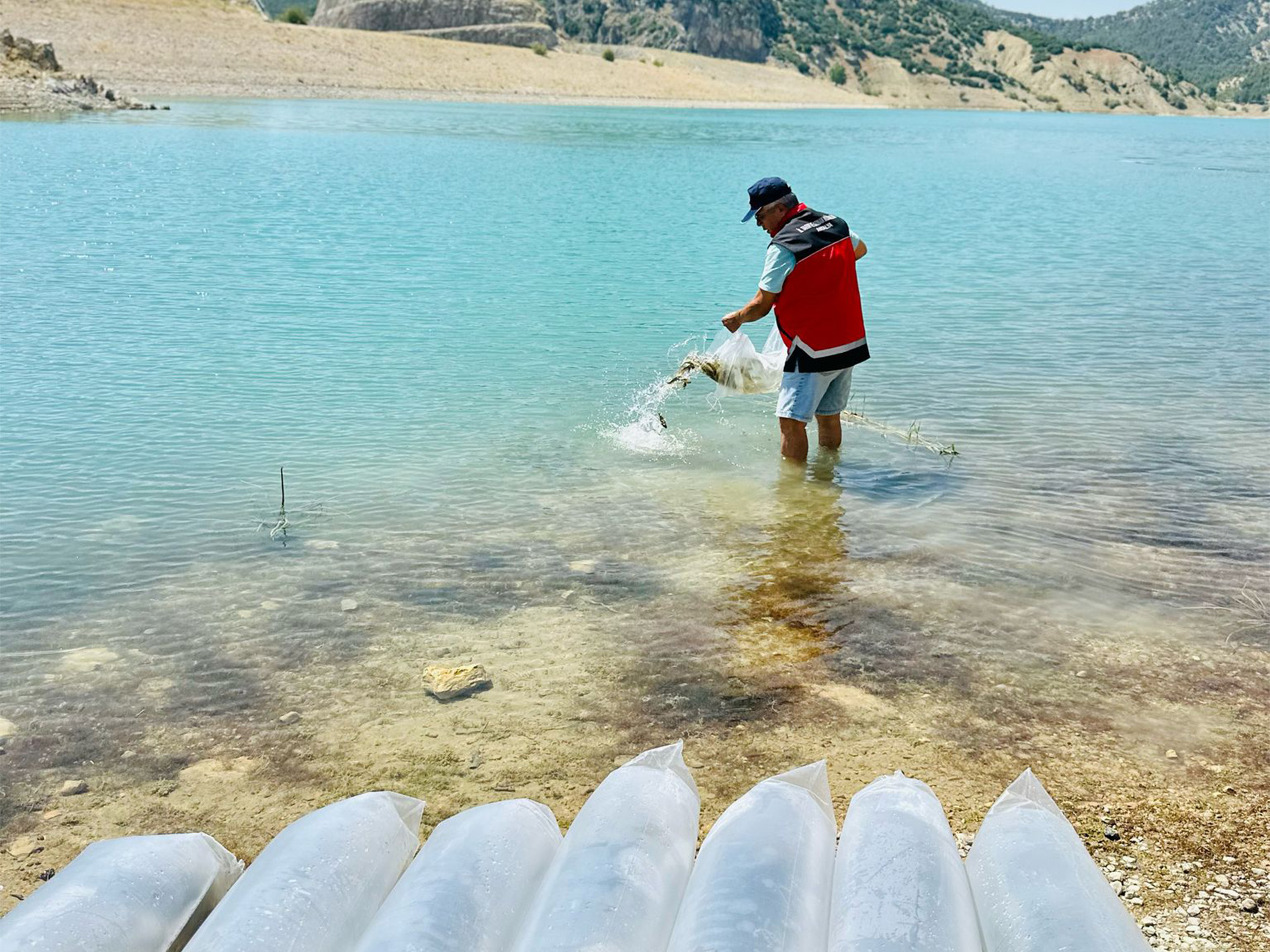 Korkutelizenginliksazanbirakildi