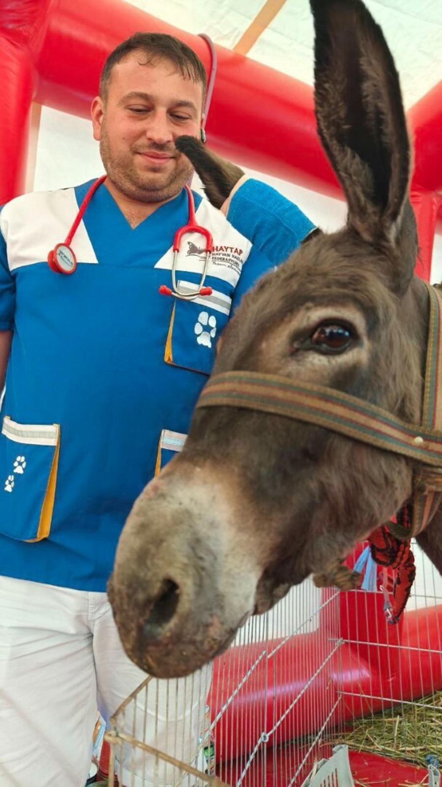 Kule Donmus Alanın Ortasındaki Zeytinlik Saglam Kaldı