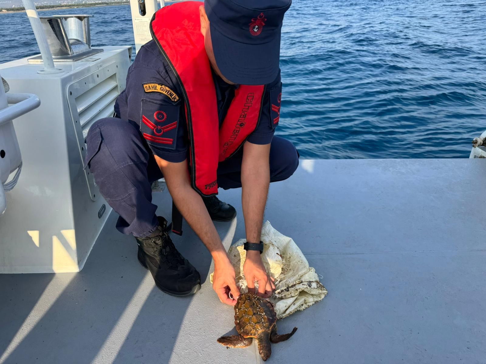 Manavgattacuvaladolanmiscarettacarettakurtarildi1