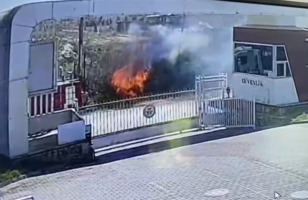 Manavgattayyangincikti