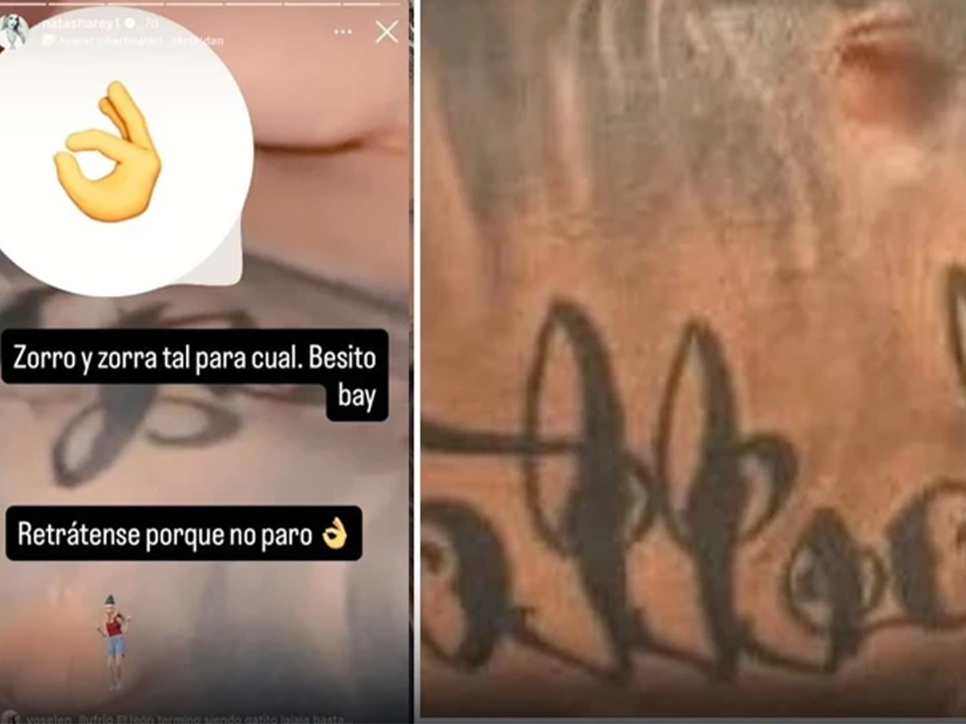 Mauroıcardiciplakfotograf