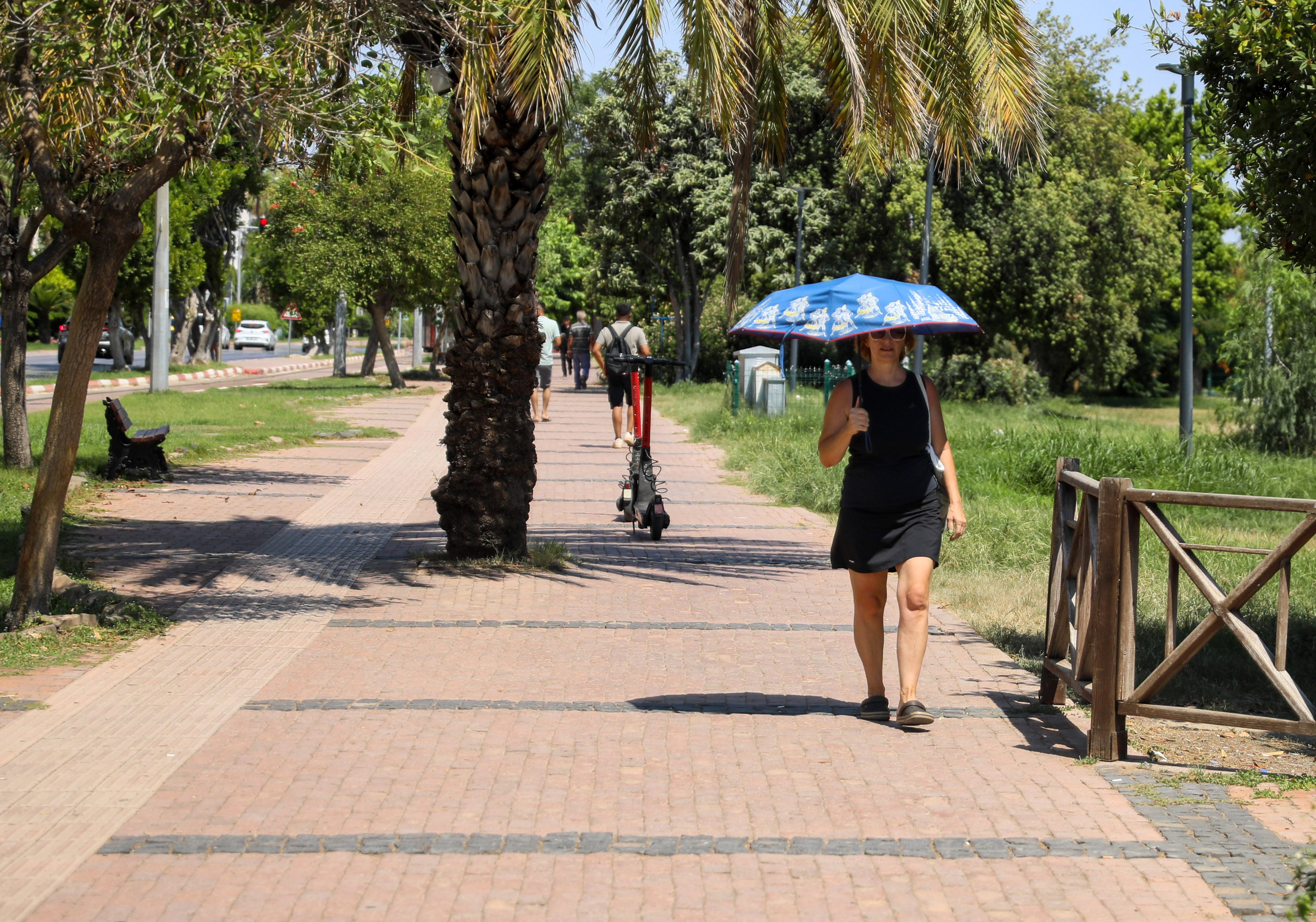 Meteorolojiantalyaicinuyardi