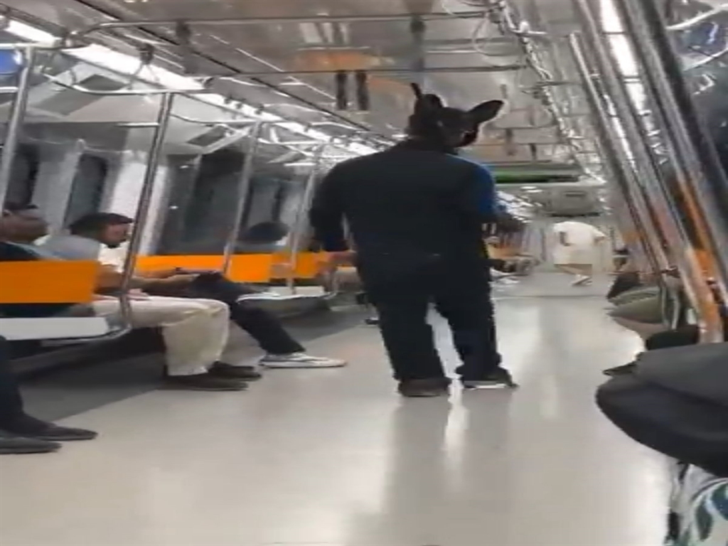 Metrodatavsankostumlusahispanik