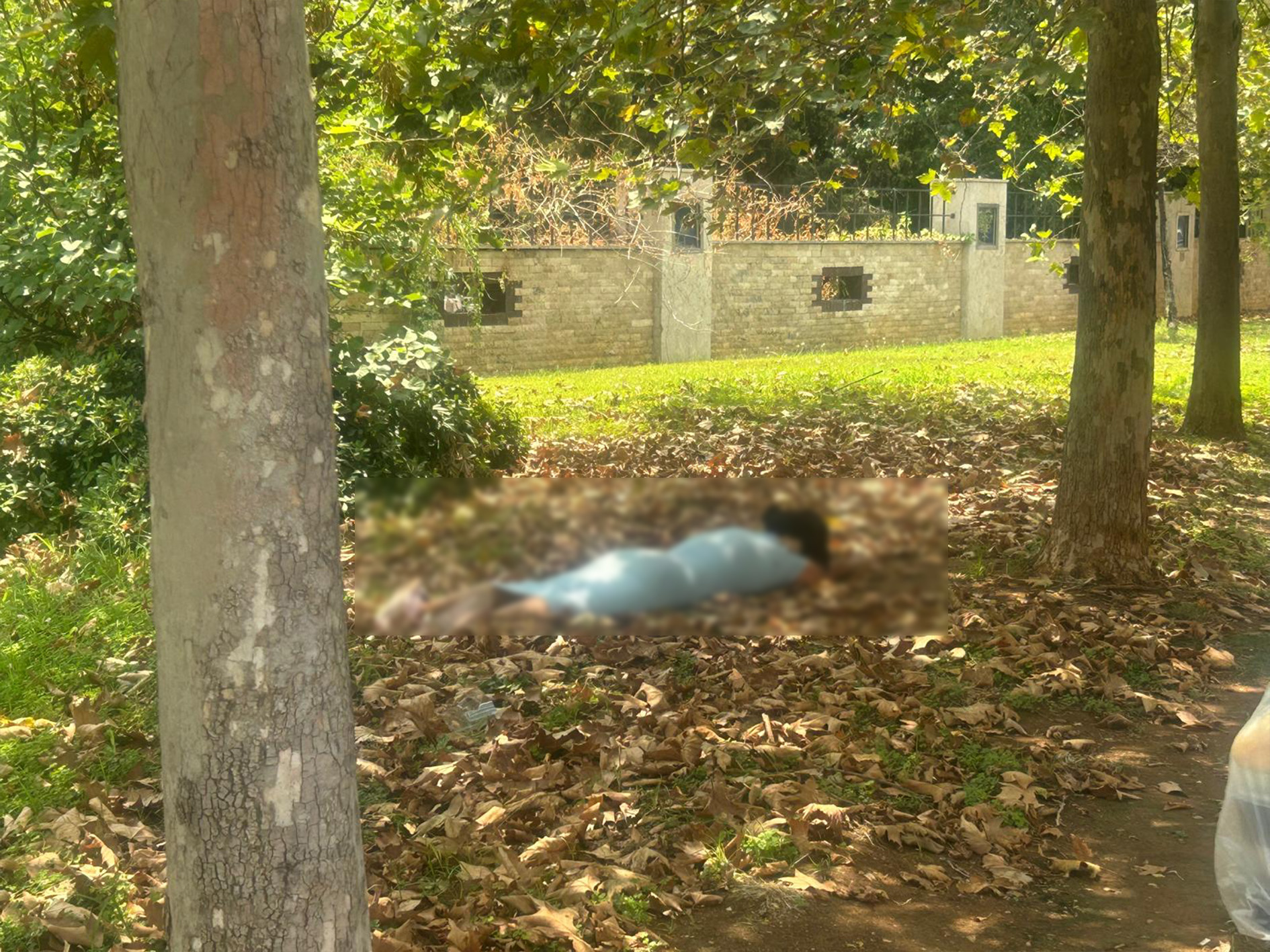 Mezarlikonundehareketsizyatankadin-2