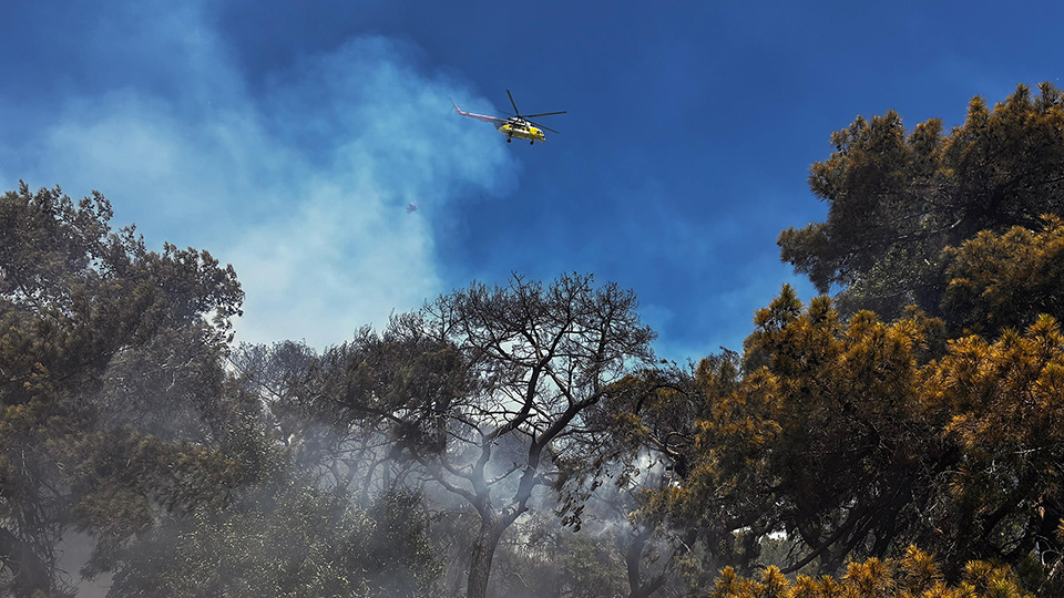 Muratpasadakorkutanormanyangini (2)-4