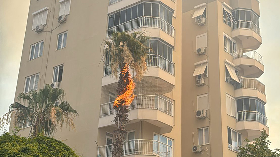 Muratpasadakorkutanormanyangini (2)-5