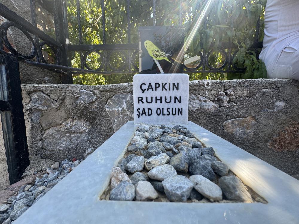 Olenkusicinmezaryaptirdilar