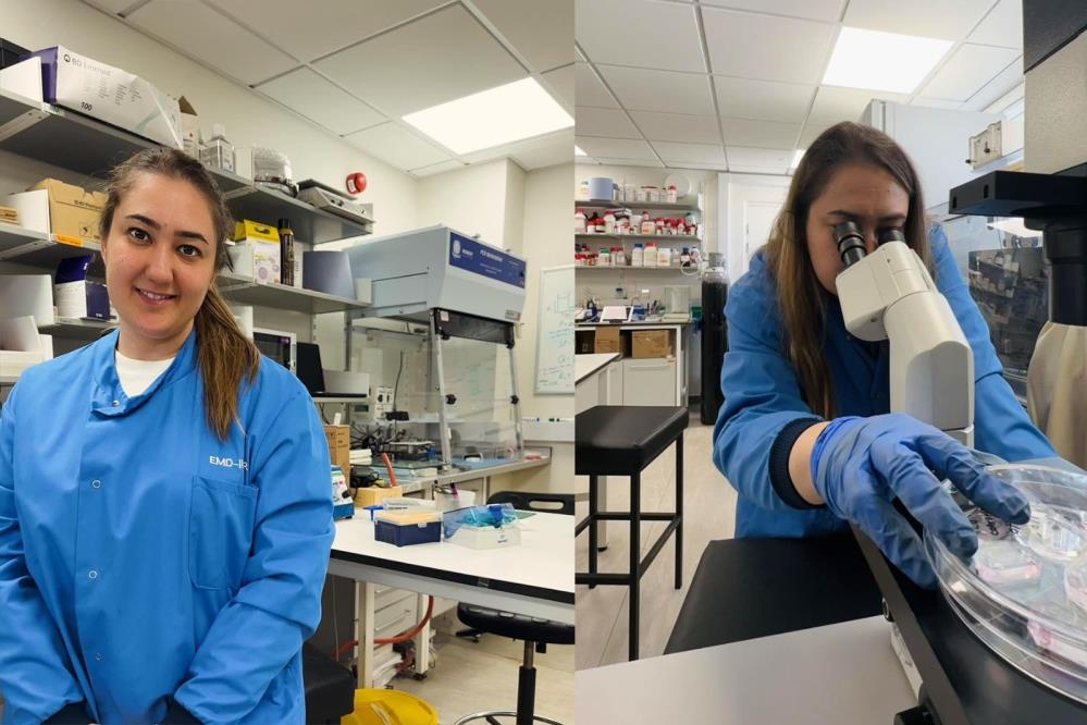 Parkinsoncalsmaoxfordatasindi