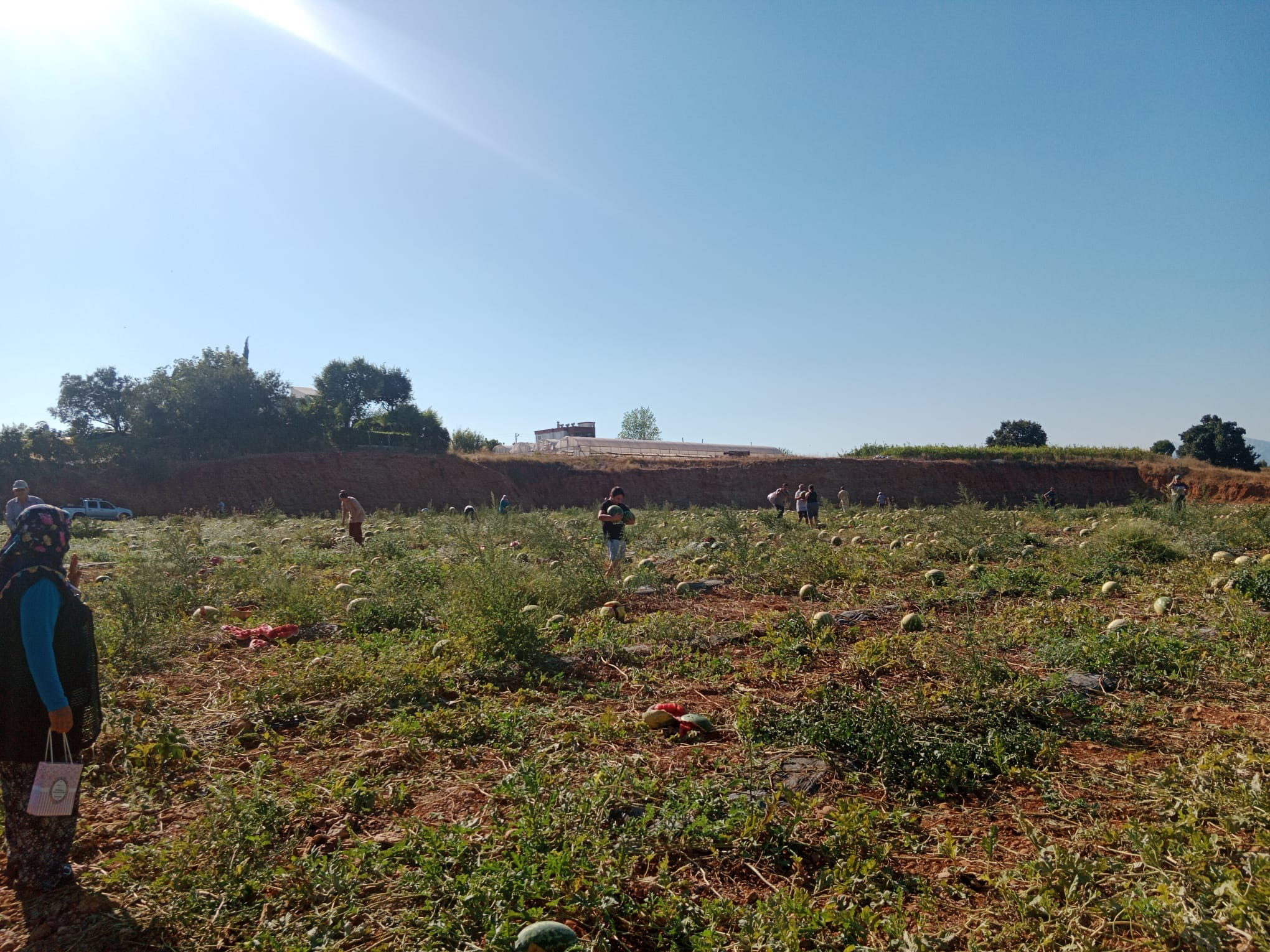 Seriktehayirseverciftcidenkarpuzbagisi1