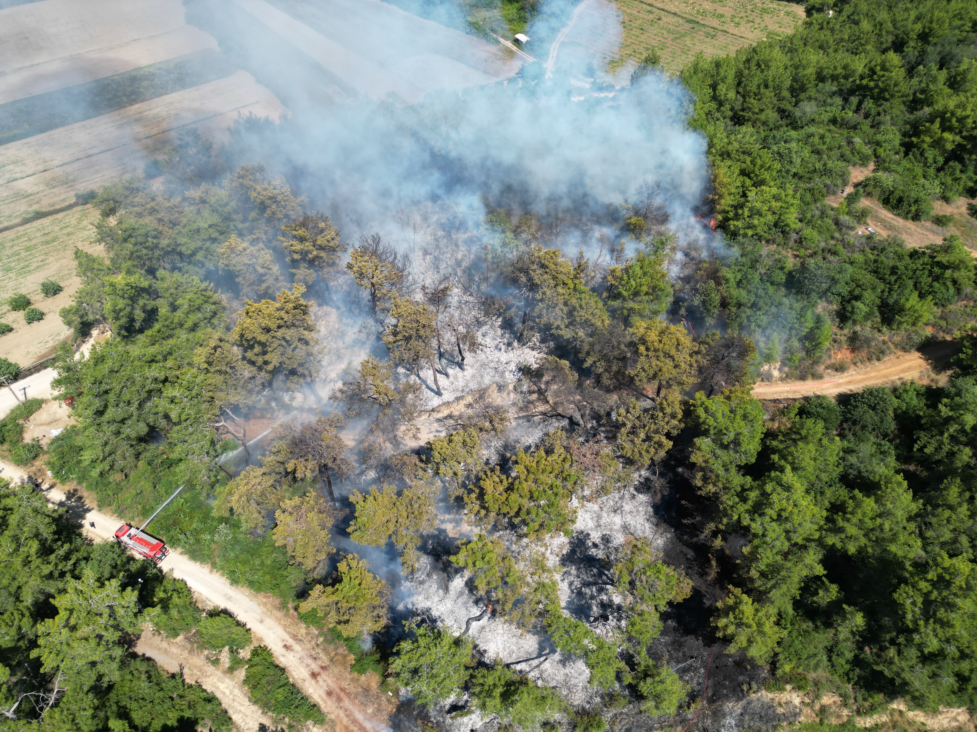 Seriktekorkutanyangin