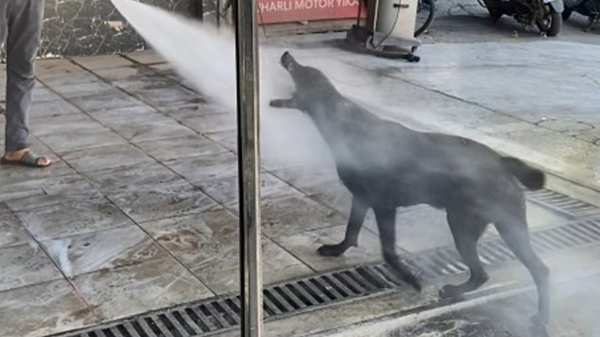 Sicaktanbunalankopeksoluguotoyikamacidaaldi