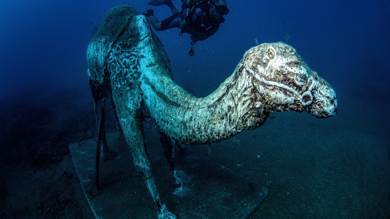 Sidesualtıdevekervanı