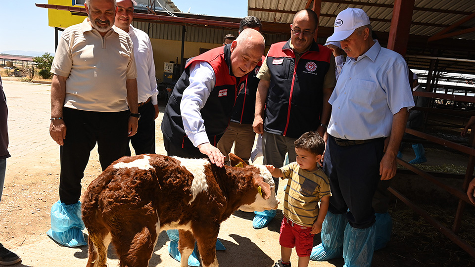 Sutunbaskentidenizlide511Tonsuturetiliyor (2)