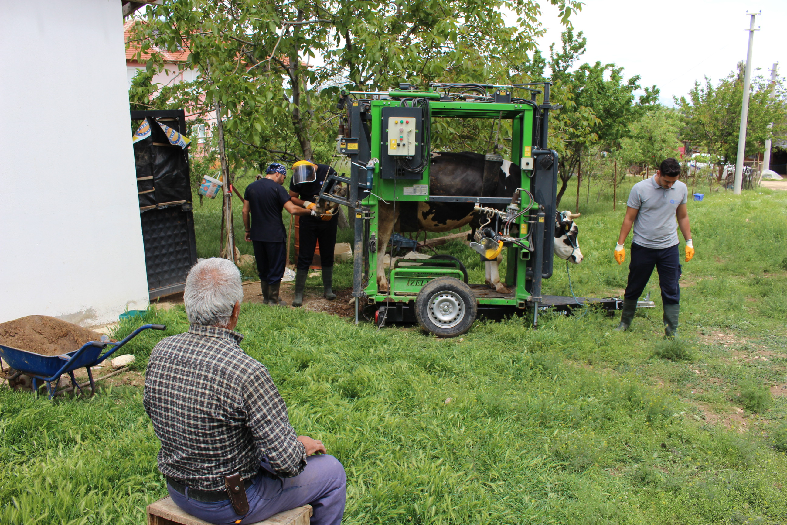 Tuzlumineraltaslaridagitildi